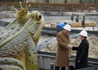 Kikkerkoning bij Aquanura